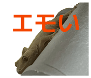 806812984