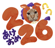 806813812
