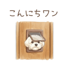 806836312