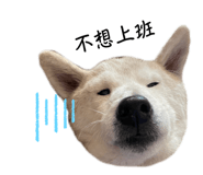 806848790
