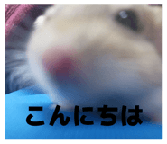 806863751