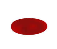 806874062