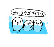 806874511