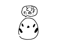 806874513