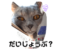 806889897