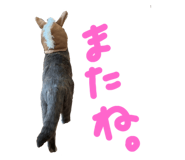 806889920