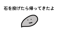 806911284