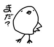 806924977