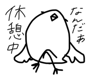 806924981