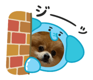 806926455
