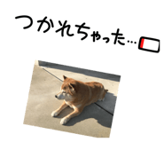 806974507