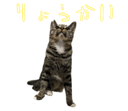 806986711