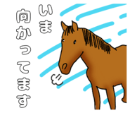 806998872