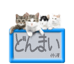 807008382