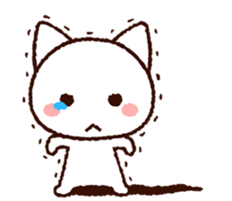 8070242