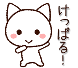 8070256