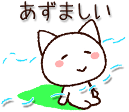 8070262