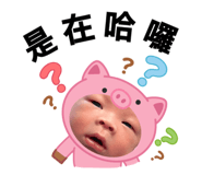 807026828