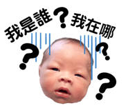 807026830