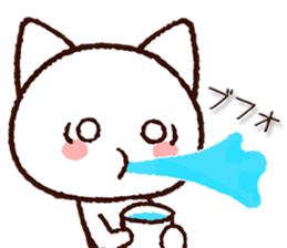 8070273