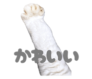 807040305