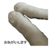 807040317