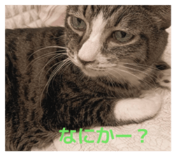 807047013