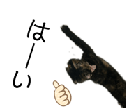 807096985