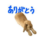 807134282