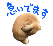 807134285