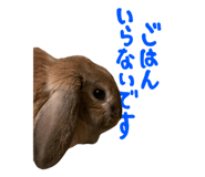 807134290