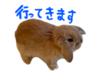 807134299