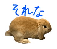 807134303