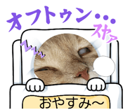 807134528