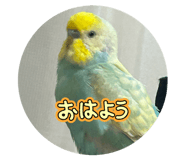 807134613