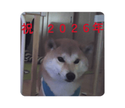 807136625