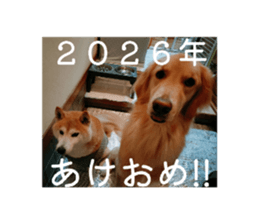 807136627