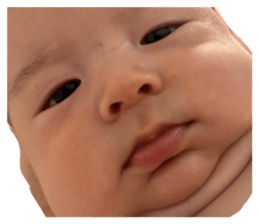 807136677