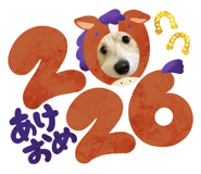 807136907