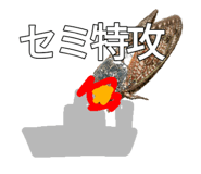 807193146