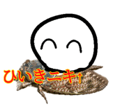 807193147