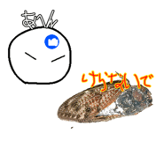 807193148