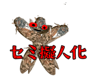 807193150