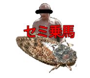 807193152