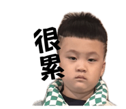 807200499