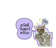 807203838