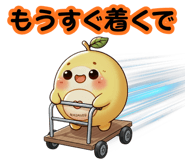 807245256