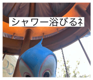807252606