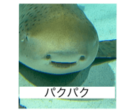 807252612