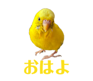 807252866